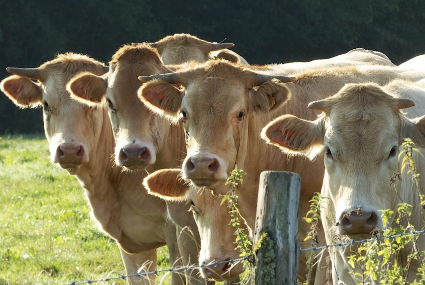 Excellente nouvelle pour le monde agricole !