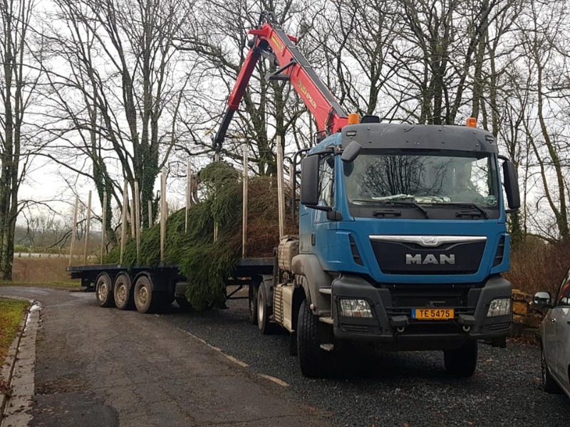 Un sapin pour Tintigny